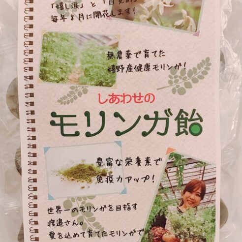 九州嬉野産100%】国産・無農薬モリンガパウダー 愛のモリンガ園